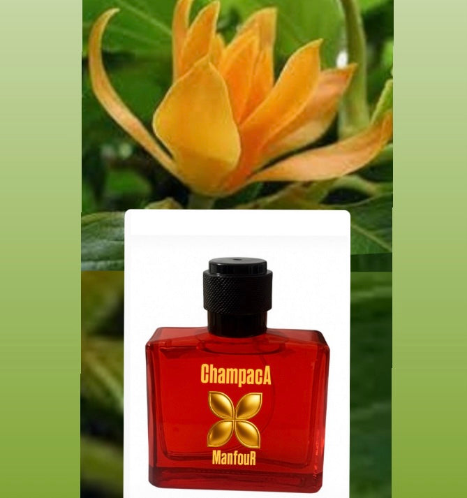 ManfouR Champaca Edp 50ml