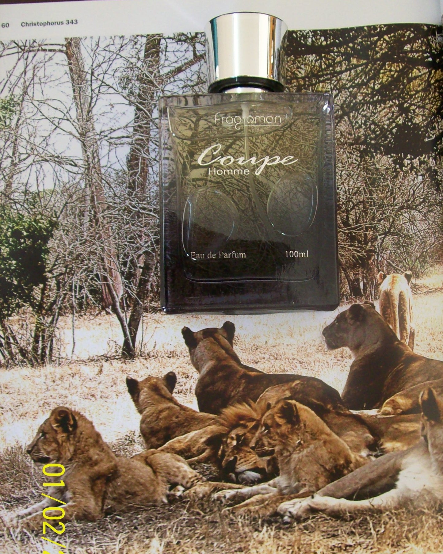fragroman Coupe Edp 100ml for Man