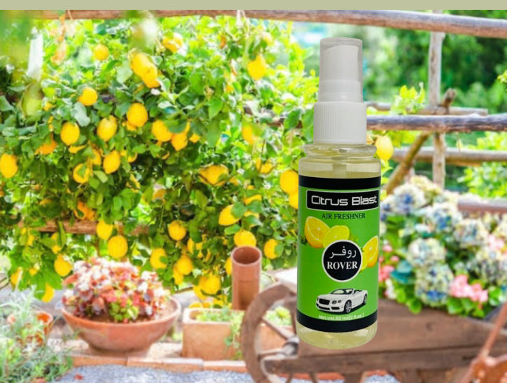 ROVER Car freshner Citrus Blast 60ml spray